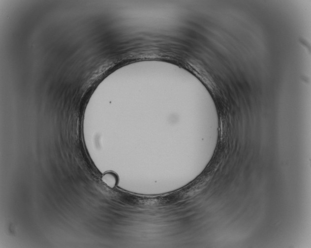 X0000091650301200708231016