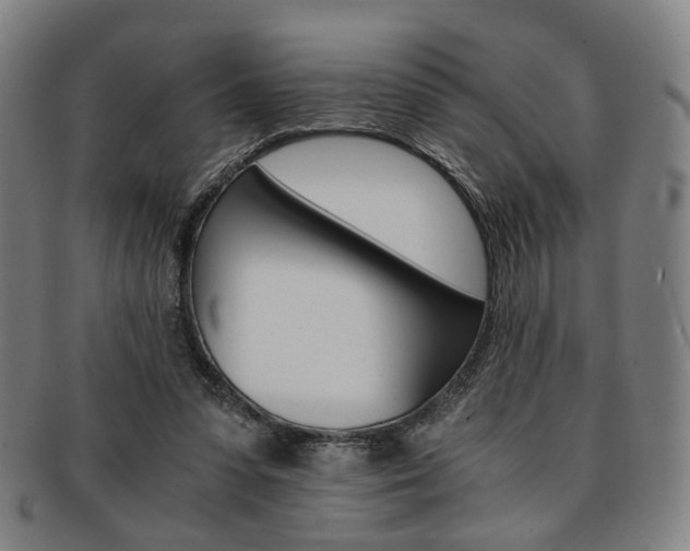 X0000091650303200708231016