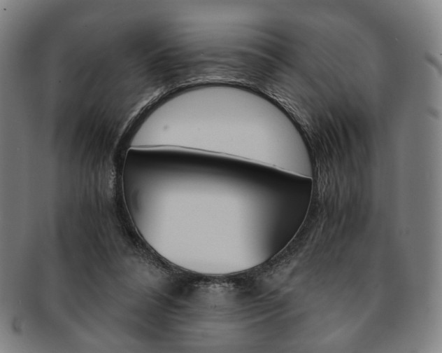 X0000091650304200708231016