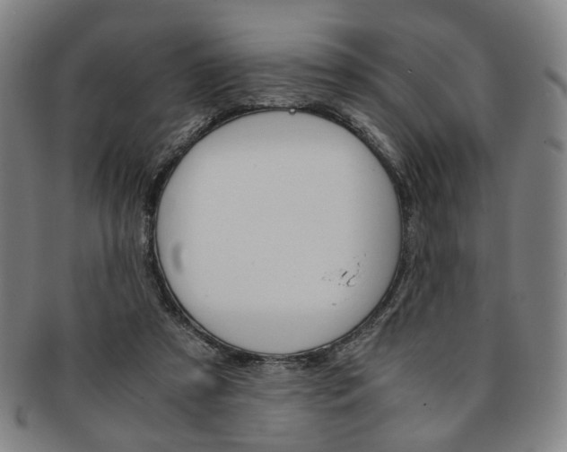 X0000091650305200708231016