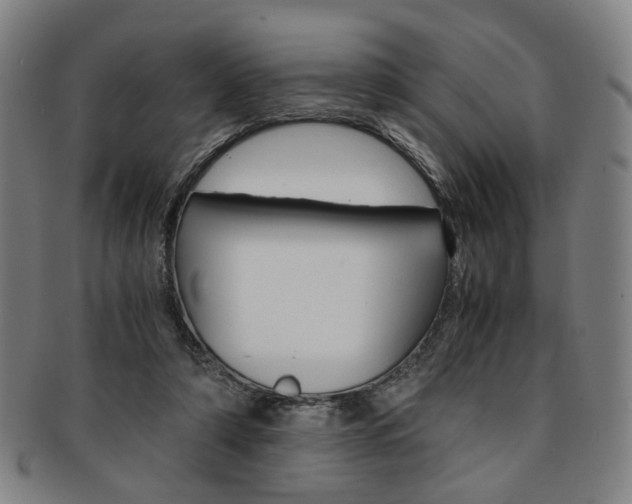 X0000091650306200708231016