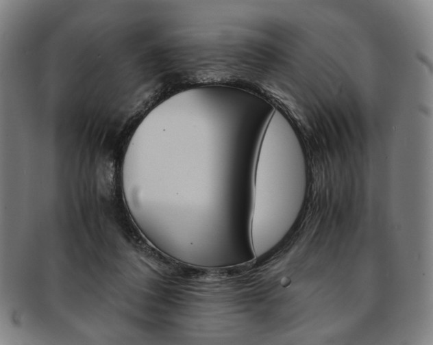 X0000091650308200708231016