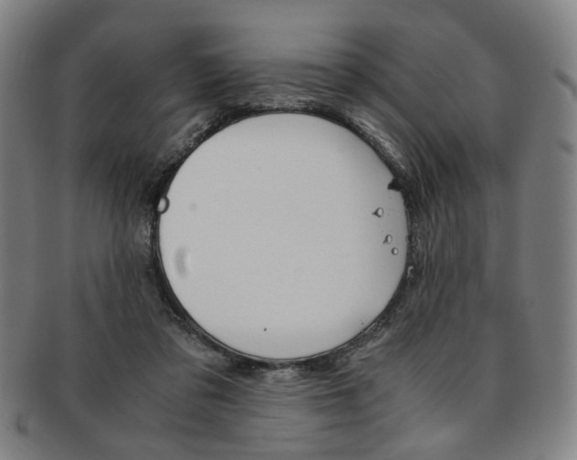 X0000091650309200708231016