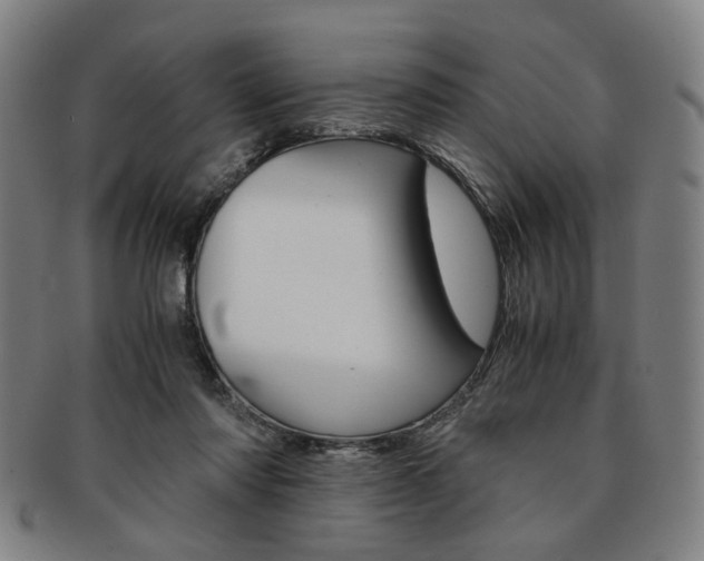 X0000091650310200708231016