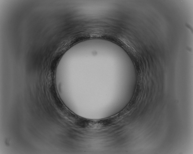 X0000091650311200708231016