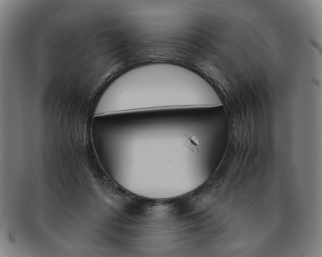 X0000091650312200708231016