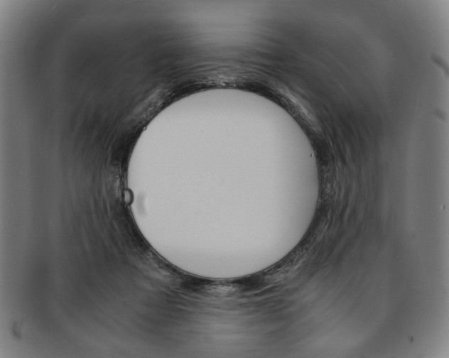X0000091650313200708231016