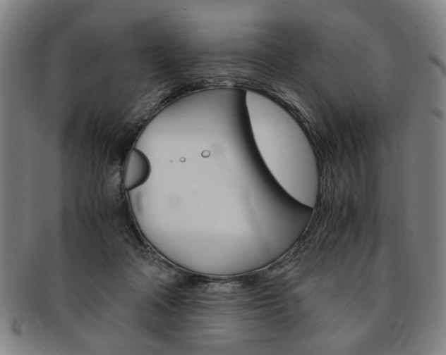 X0000091650314200708231015
