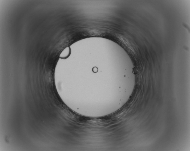 X0000091650317200708231015