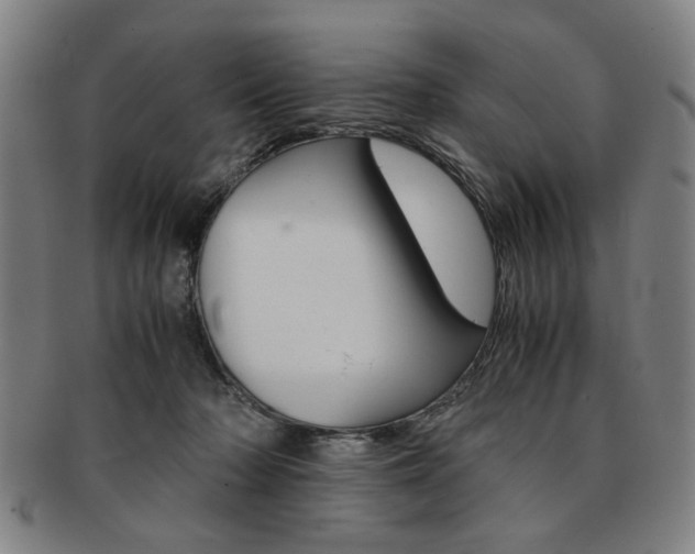 X0000091650318200708231015