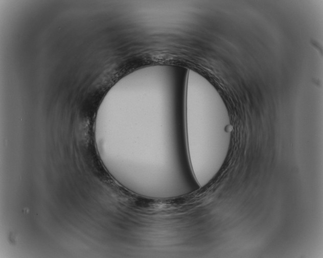 X0000091650319200708231015
