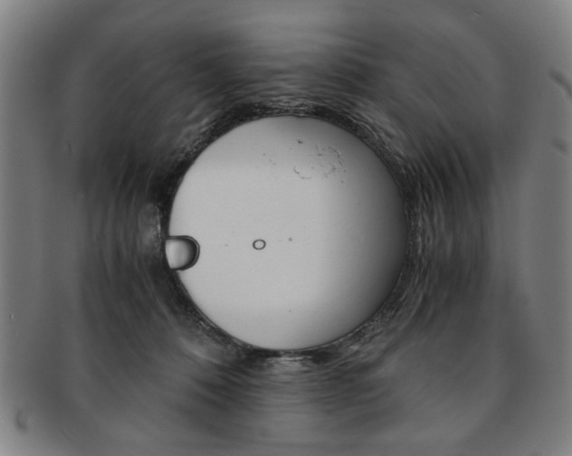 X0000091650320200708231015
