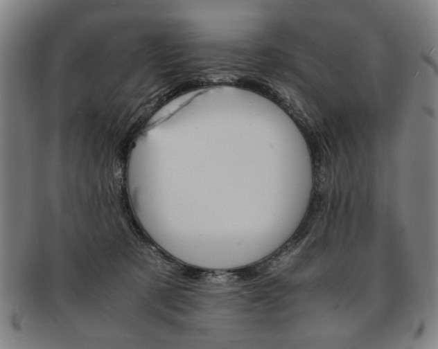 X0000091650321200708231015