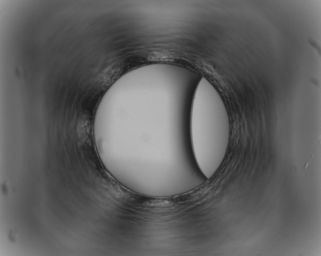 X0000091650322200708231015