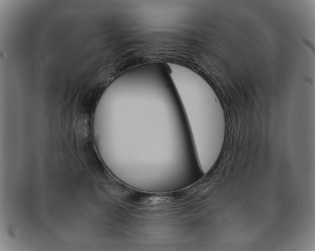 X0000091650323200708231015