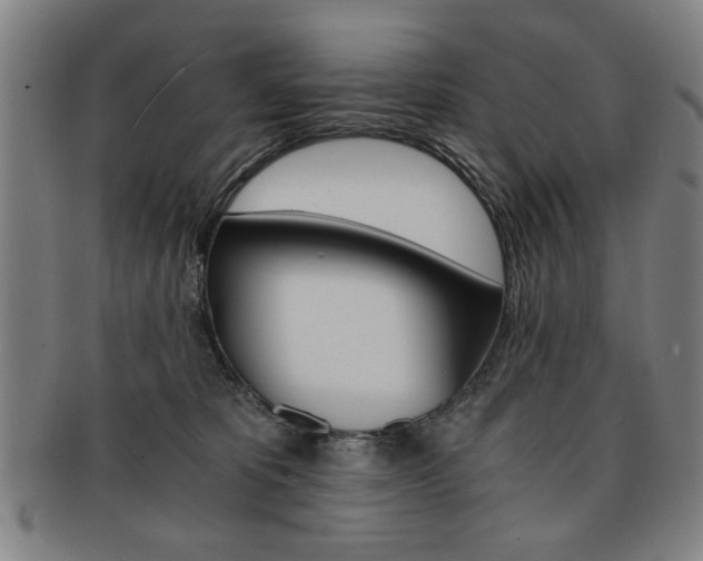 X0000091650325200708231015