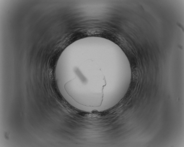 X0000091650327200708231015