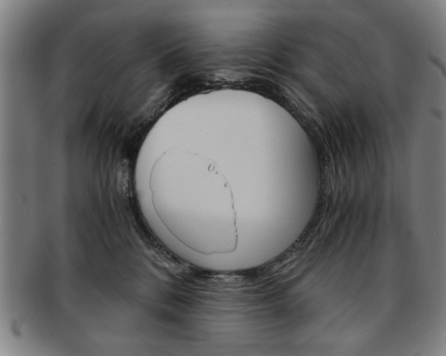 X0000091650328200708231015