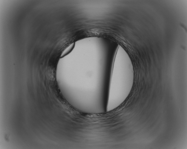 X0000091650331200708231015