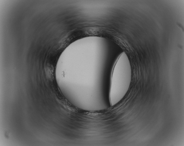 X0000091650332200708231015