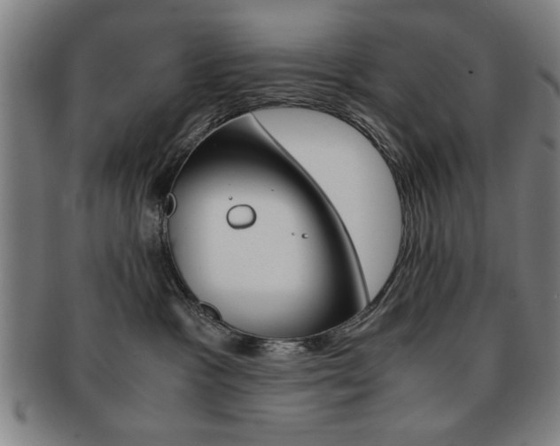 X0000091650333200708231015