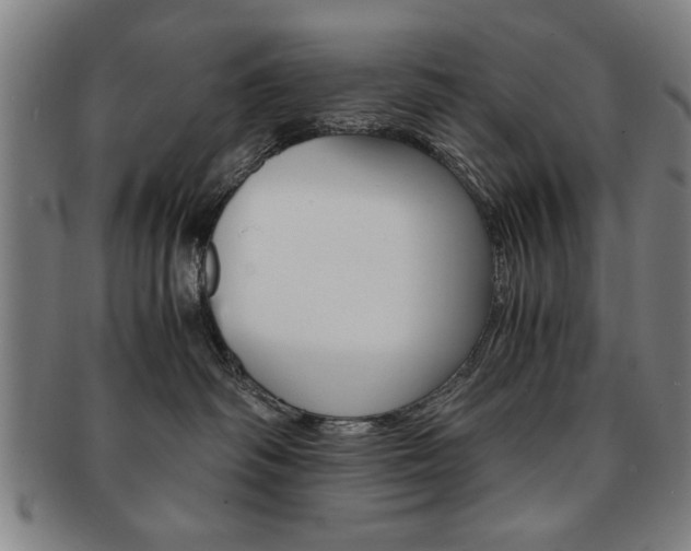 X0000091650334200708231015