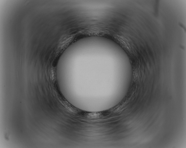 X0000091650335200708231015