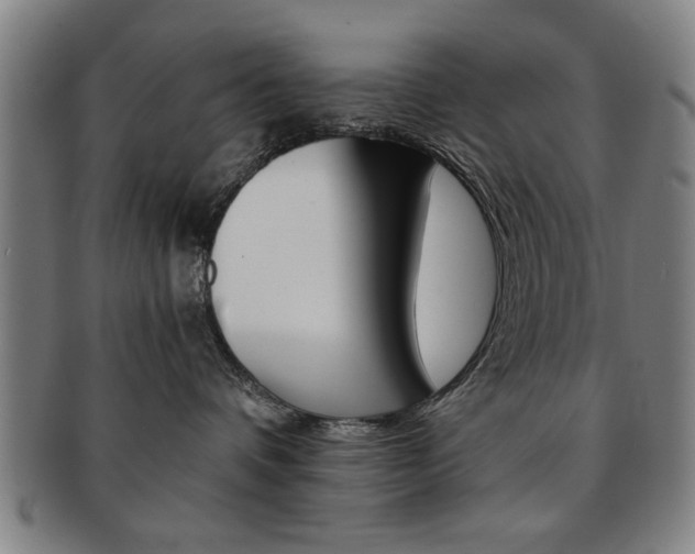 X0000091650336200708231015