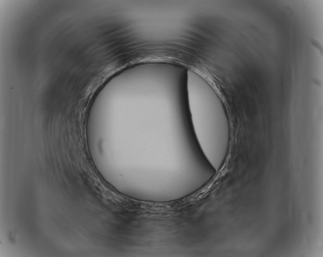 X0000091650337200708231015