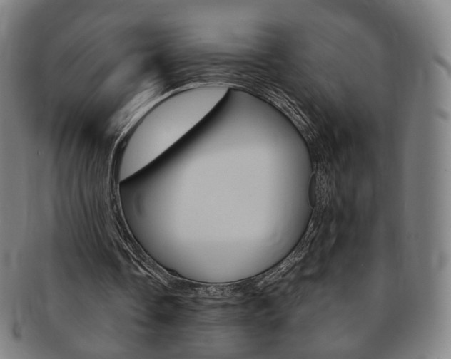 X0000091650338200708231015