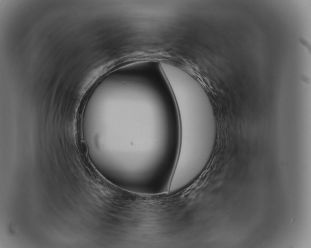 X0000091650340200708231015