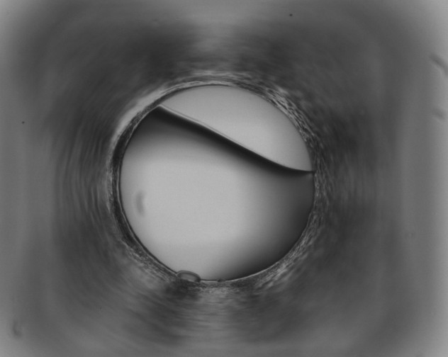 X0000091650342200708231015