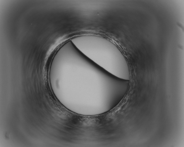 X0000091650343200708231015