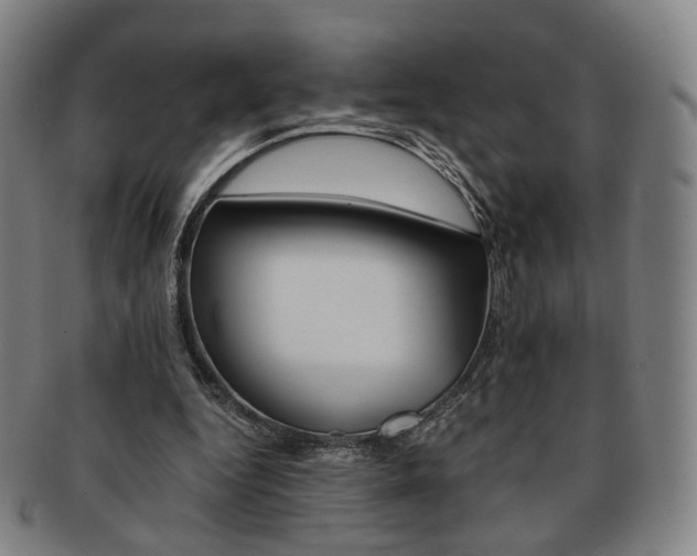 X0000091650344200708231015
