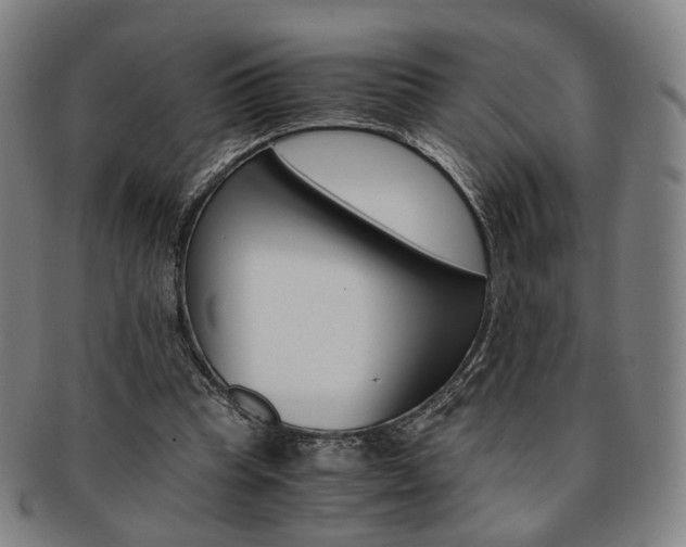 X0000091650345200708231015