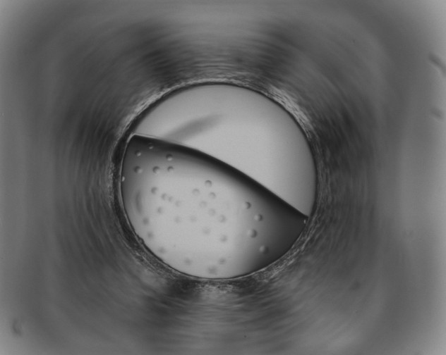 X0000091650346200708231015