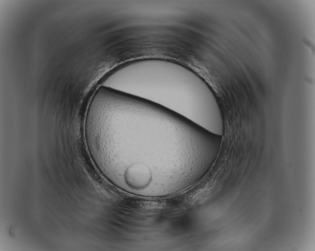X0000091650347200708231015