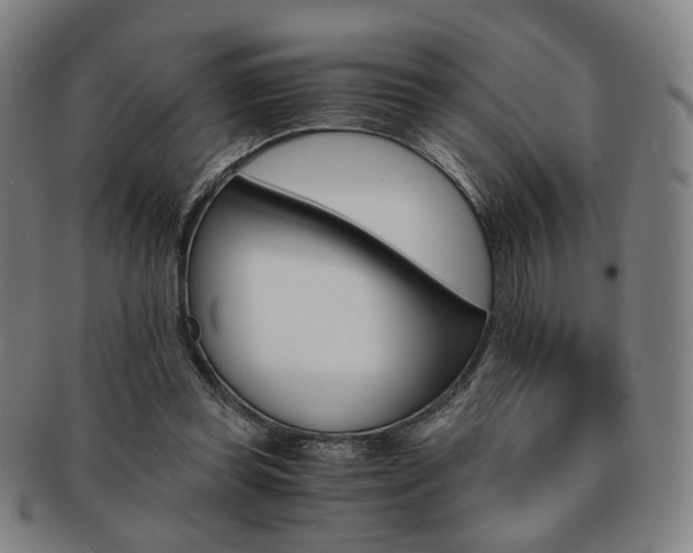 X0000091650349200708231015