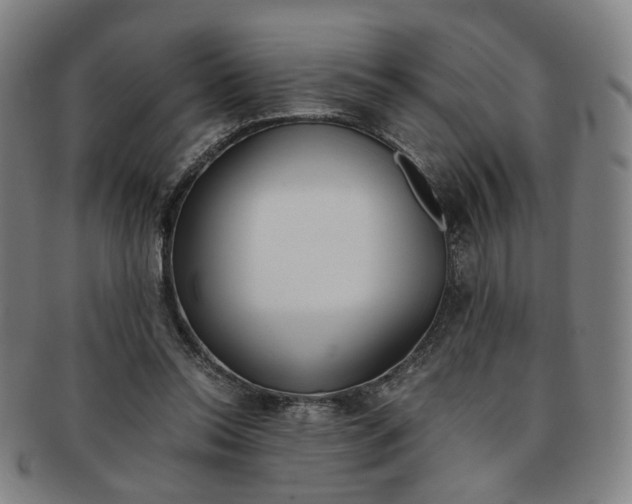 X0000091650350200708231015