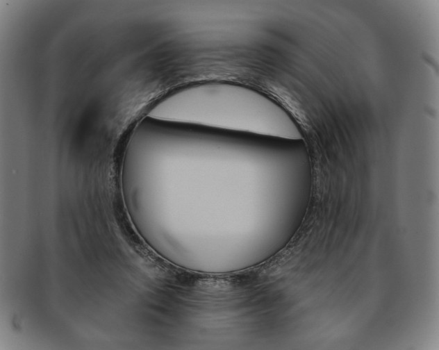 X0000091650354200708231015