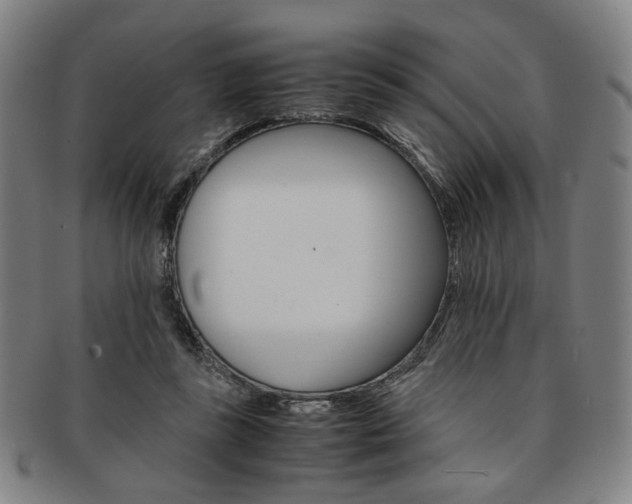 X0000091650355200708231015