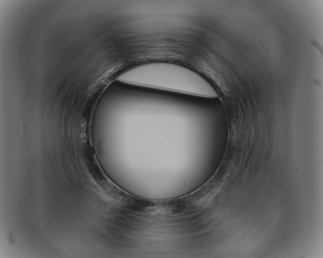 X0000091650356200708231015