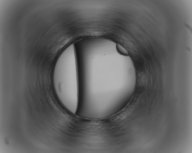 X0000091650358200708231015
