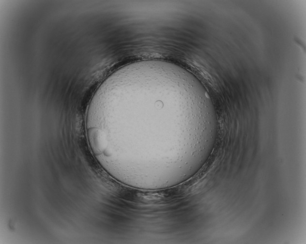 X0000091650359200708231015