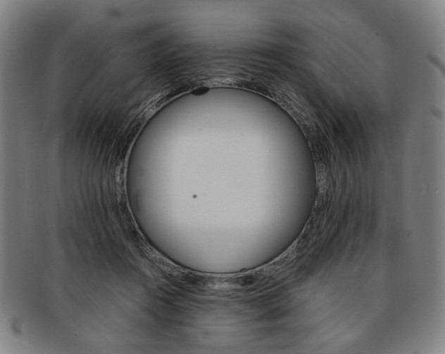 X0000091650360200708231015
