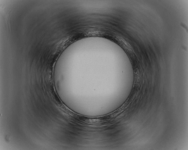 X0000091650361200708231015