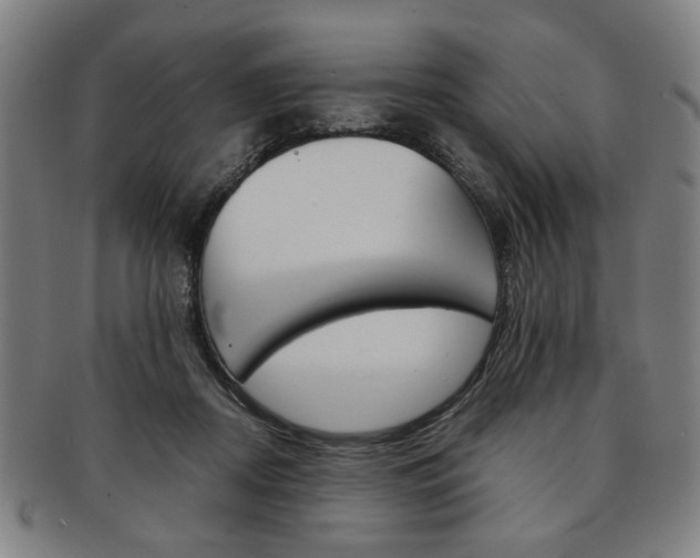 X0000091650362200708231015