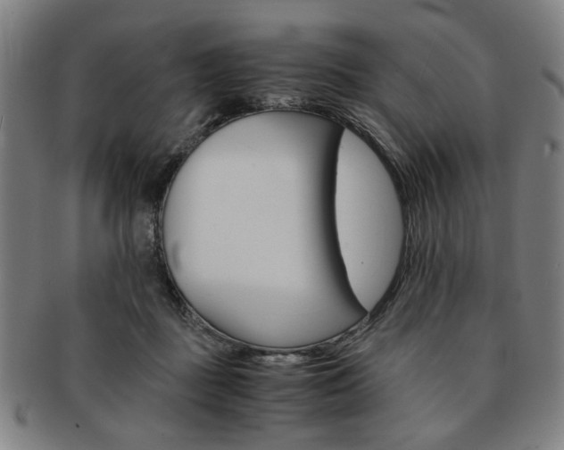 X0000091650363200708231015