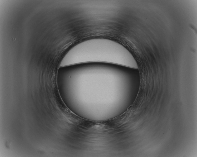 X0000091650364200708231015