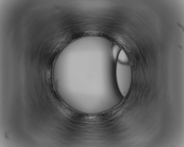 X0000091650365200708231015